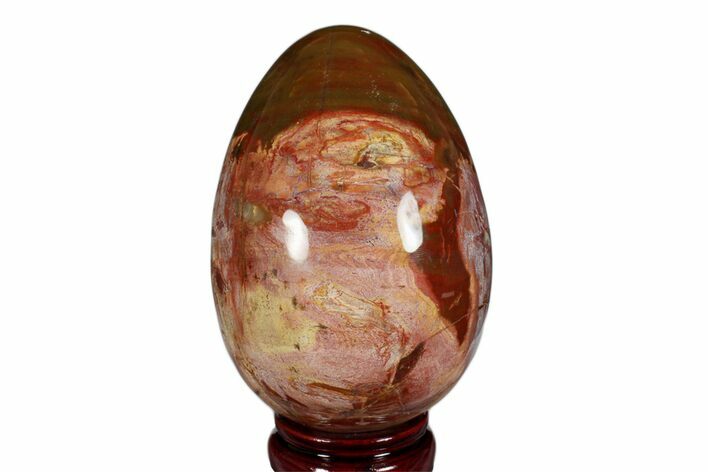 Colorful, Polished Petrified Wood Egg - Madagascar #172529